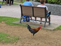 untitled-26.jpg