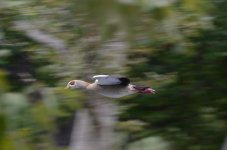 14th June 2015 010.JPG