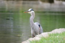 14th June 2015 016.JPG