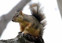 14th June 2015 019.JPG