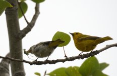 14th June 2015 035.JPG