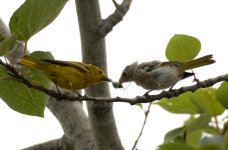 14th June 2015 037.JPG