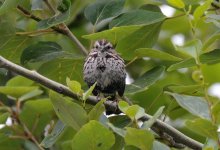 14th June 2015 073.JPG