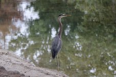 14th June 2015 081.JPG