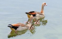 14th June 2015 104.JPG