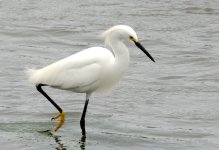 14th June 2015 157.JPG