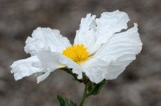 14th June 2015 162.JPG