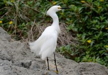 14th June 2015 169.JPG