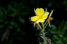 14th June 2015 190.JPG