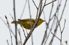 14th June 2015 183.JPG