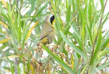 14th June 2015 192.JPG