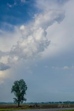 DAH_0778, DAH_0777, DAH_0776-2.jpg