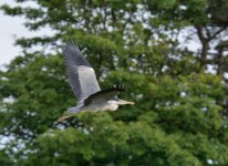 DSC_3201.jpg