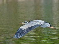DSC_3138.jpg