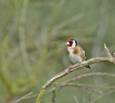 DSC_3320.jpg
