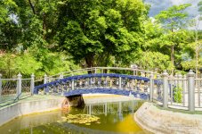 bridge1-1.jpg