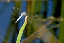 15th June 2015 001.JPG