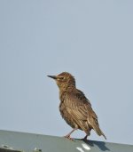 DSCN0361.jpg