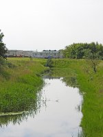 DSCN0375.jpg