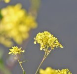 DSCN0347.jpg