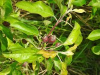 DSCN0360.jpg