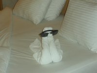 DSCN1957.jpg