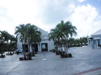 DSCN1989.jpg