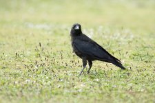 DSC_3257.jpg