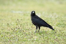 DSC_3258.jpg