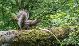 DSC_0326.jpg