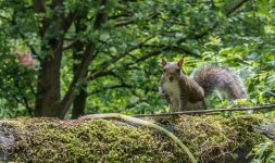 DSC_0328.jpg