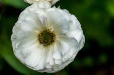 DSC_5579.jpg