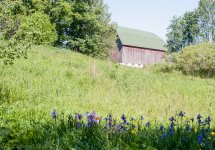 Barn-9844.jpg