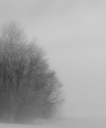 DSC_0065.jpg