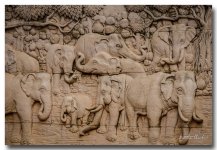 elephants.jpg