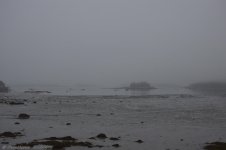 _DSC2000.jpg