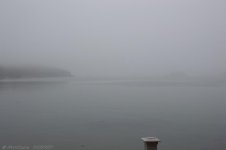 _DSC2006.jpg
