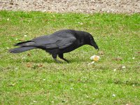 DSCN0497.jpg