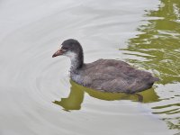 DSCN0488.jpg