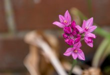 DSC_3274.jpg