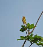 DSCN0522.jpg