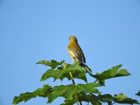 DSCN0535.jpg