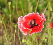 DSCN0560.jpg
