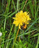 DSCN0569.jpg