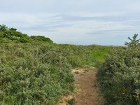 DSCN0611.jpg