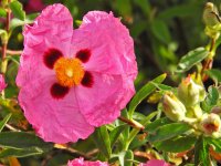 DSCN0630.jpg