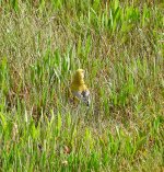 DSCN0642.jpg