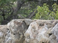 untitled-19.jpg
