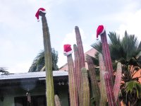 DSCN2147.jpg