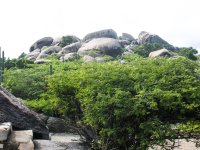 untitled-49.jpg